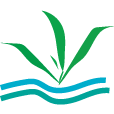 Ocean View Bamboo company logo