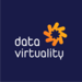Data Virtuality company logo