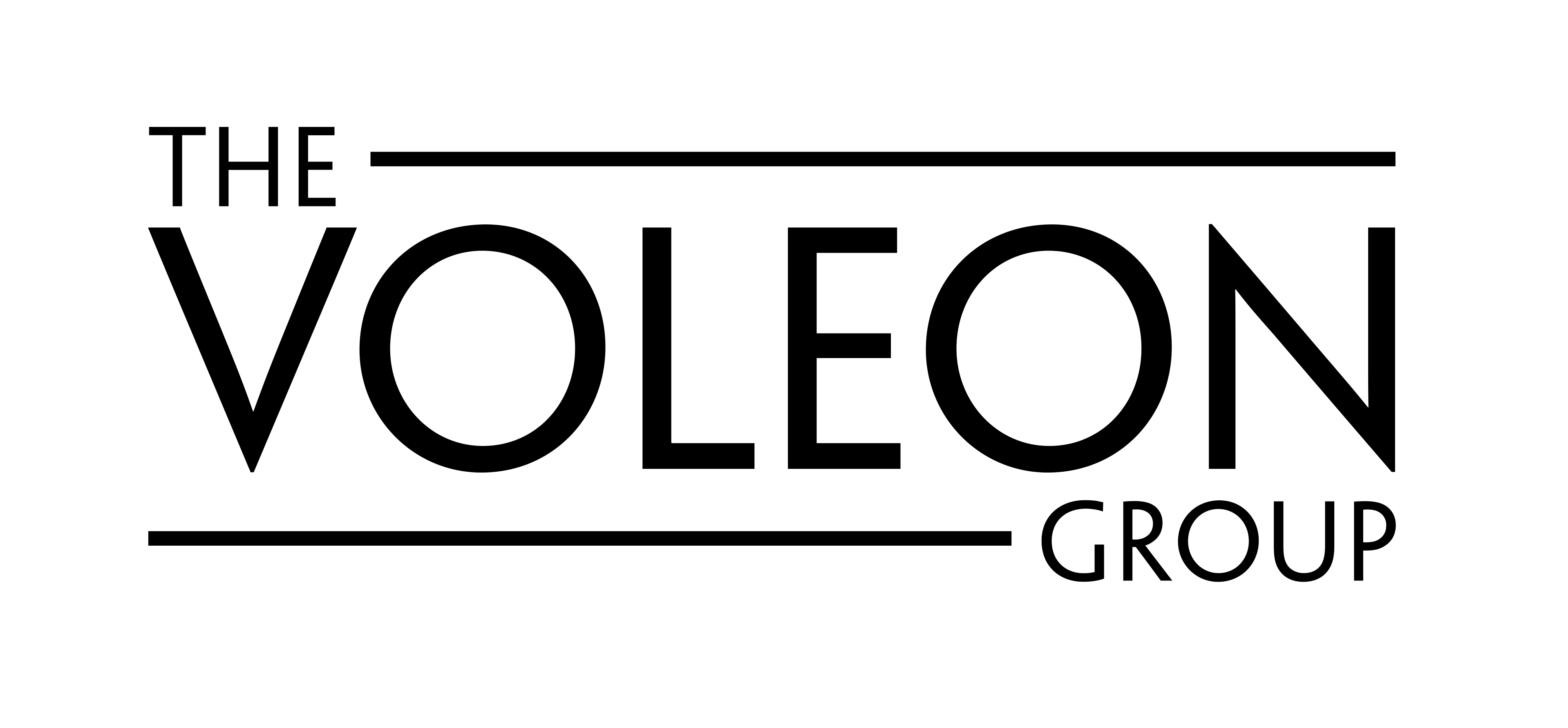 The Voleon Group company logo