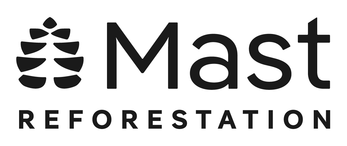 Mast Reforestation